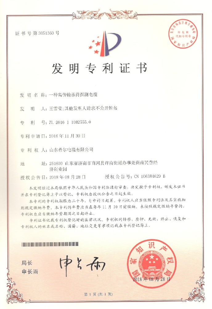 一种高传输承荷探测电缆