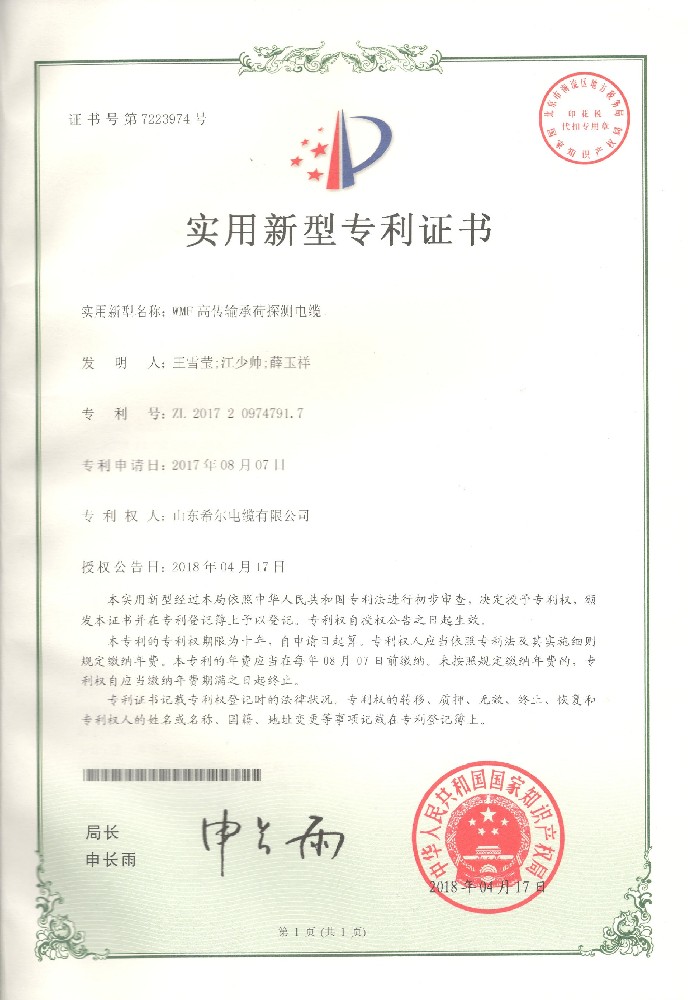 新型专利-WMF高传输承荷探测电缆