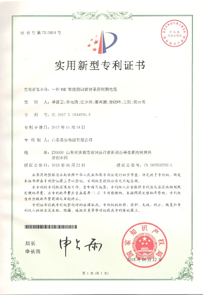 新型专利-一种WMF智能测调密封承荷探测电缆