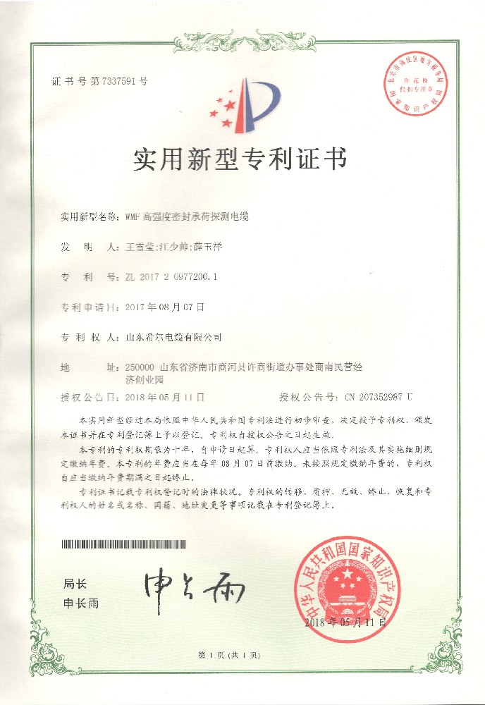 新型专利-WMF高强度密封承荷探测电缆