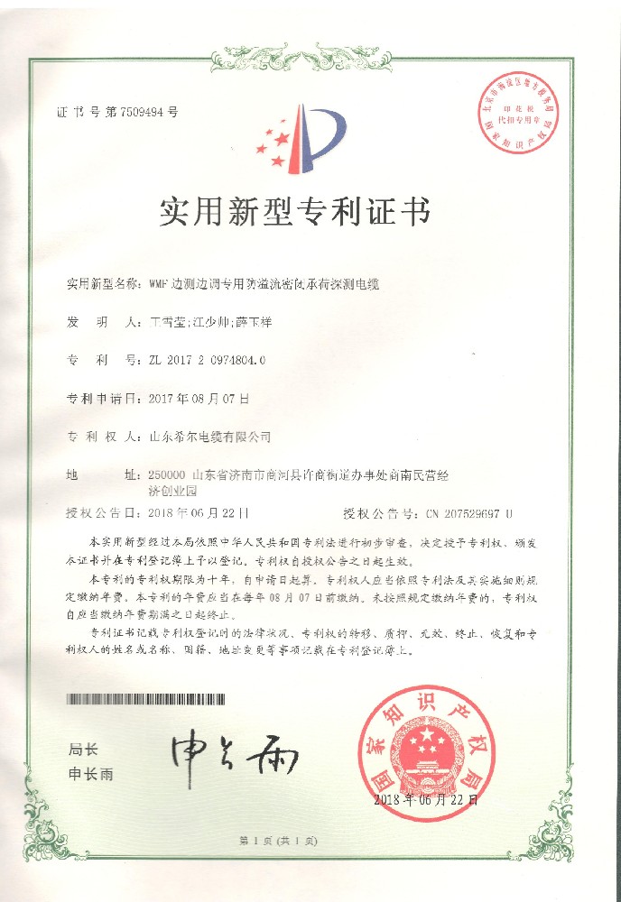 新型专利-WMF边测边调专用防溢流密闭承荷探测电缆