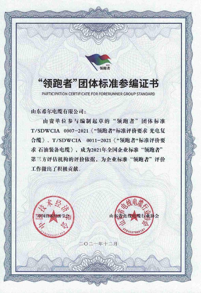 “领跑者”团体标准参编证书