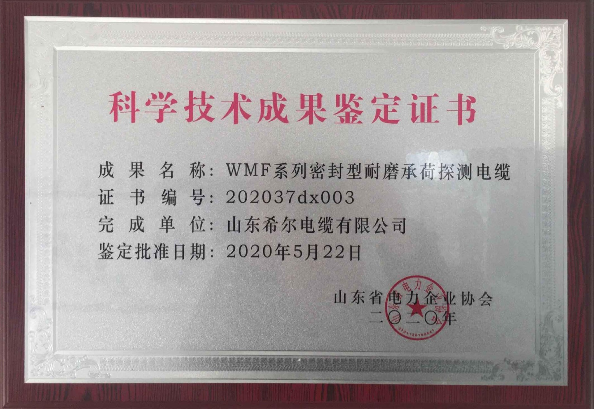 科技成果鉴定-WFM系列密封型耐磨承荷探测电缆.jpg