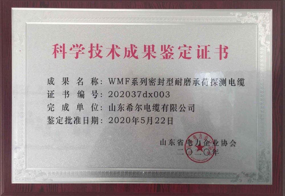科技成果鉴定-WFM系列密封型耐磨承荷探测电缆